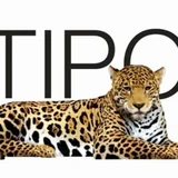 PT Multipolar Technology